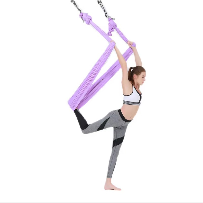 2.8x5m Professional High Quali - đánh giá và giá Yoga Swing Aerial