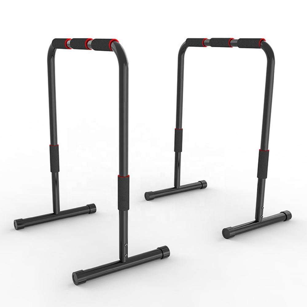 Home Gym Equipment Lebert Equa - đánh giá và giá Dip Bar Parallel