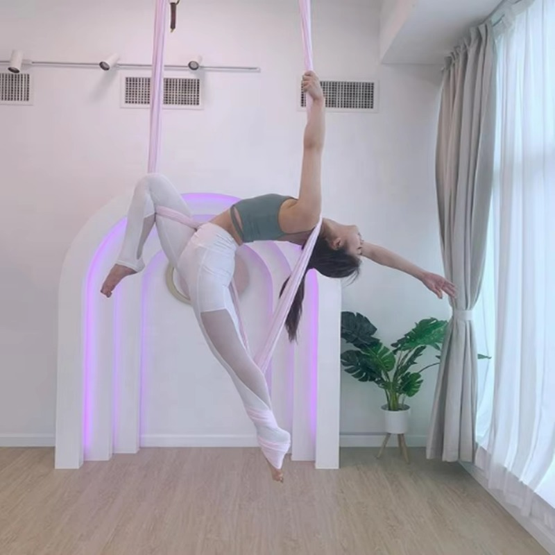 8 Meters Professional Black Ae - đánh giá và giá Yoga Swing Aerial