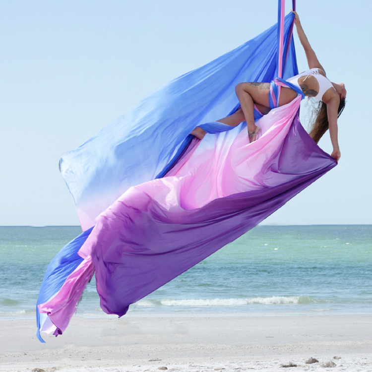 Aerial Yoga Swing, Durable Nyl - đánh giá và giá Yoga Swing Aerial